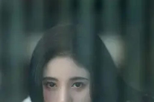 吴启华涉嫌召妓丑闻